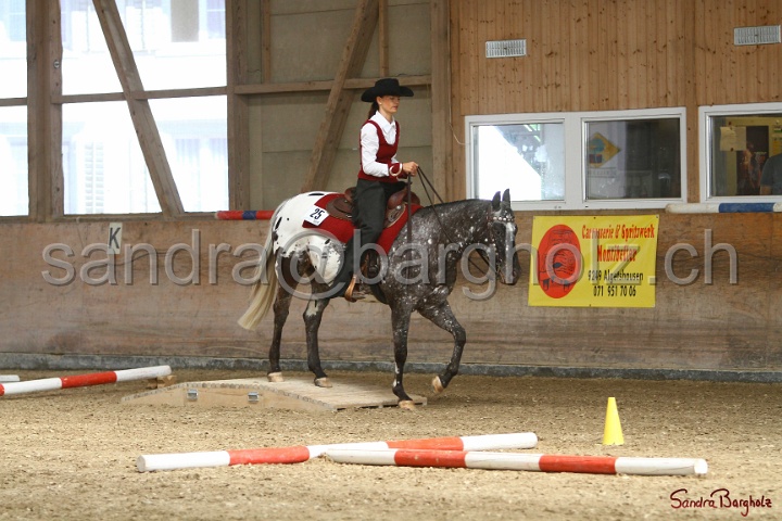 26-ApHC GT_023.jpg